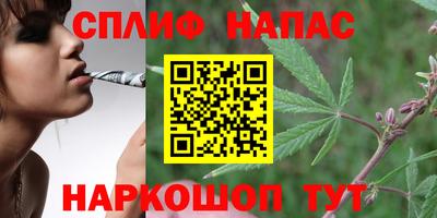 ПСИЛОЦИБИНОВЫЕ ГРИБЫ Славянск-на-Кубани
