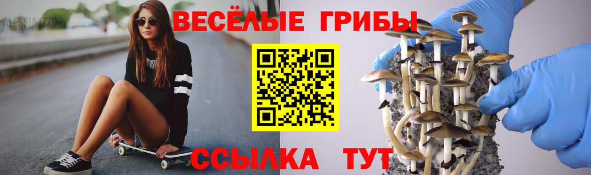 Псилоцибиновые грибы Psilocybine cubensis  Псилоцибиновые грибы Psilocybe  Вход с VPN  Орёл 